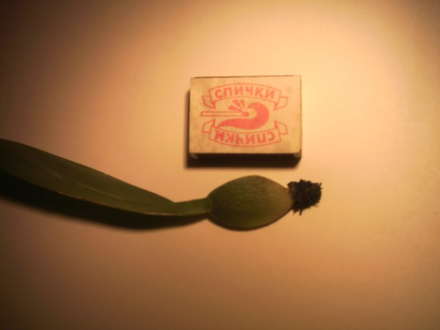 PICT0003.jpg