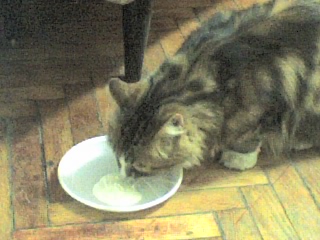05-06-06_2052.jpg