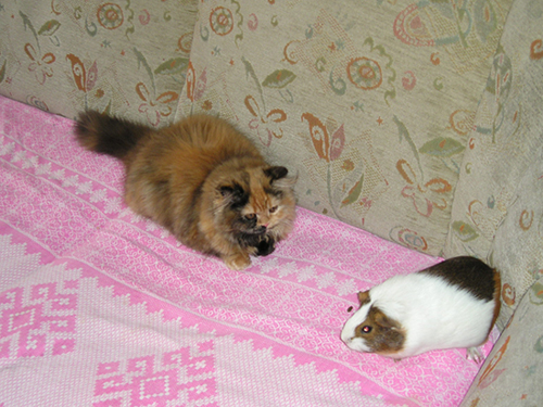P6200004.jpg