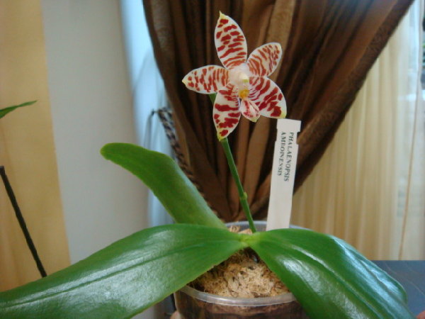 весь рост.JPG