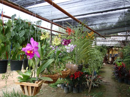 DSC00484_.jpg