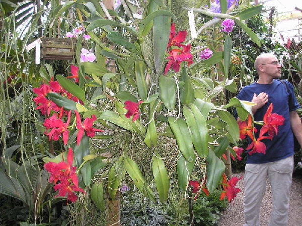 P3050068_1.jpg