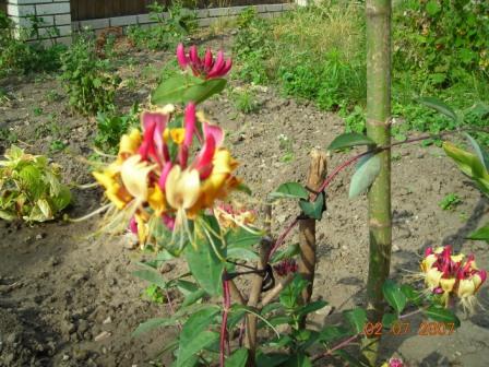 DSCN1639.JPG