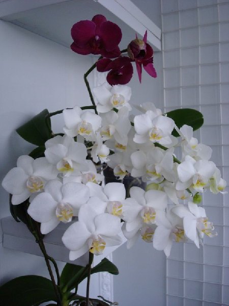 Без комментов