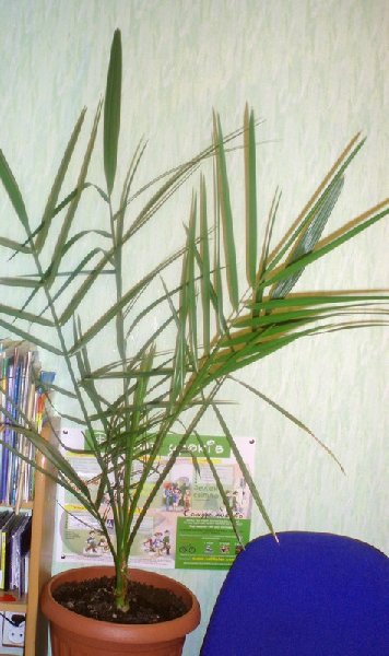 Здесь где-то 5 лет.