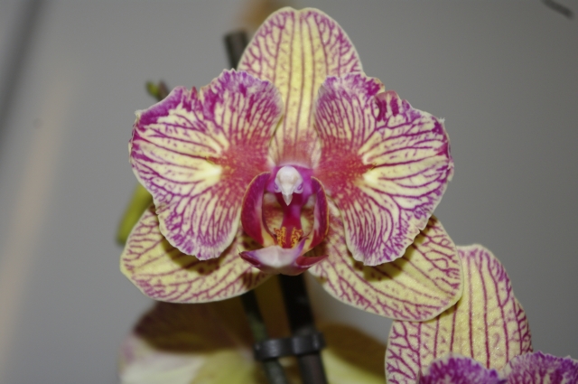 09.03.2009 _ 19_10_12.jpg