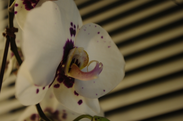 Полгода после покупки