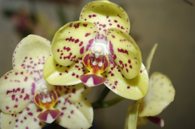 09.03.2009 _ 19_10_24.jpg