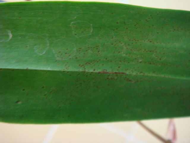 DSC02630.JPG