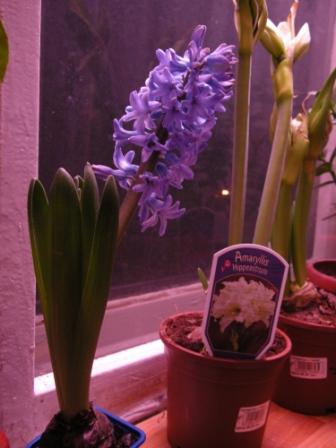 DSCN8262.JPG