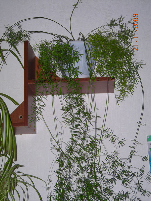 DSCN0173ev.jpg
