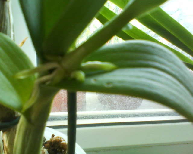 DSC00001.JPG