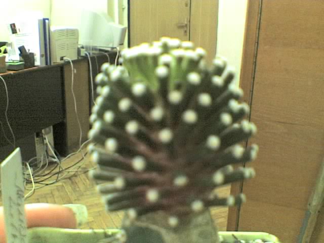 22-06-06_1314.jpg