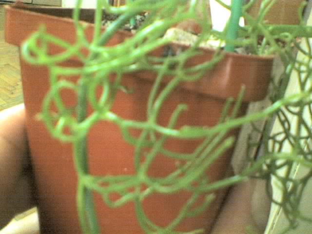 22-06-06_1321.jpg