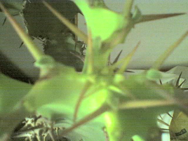 23-06-06_1040.jpg