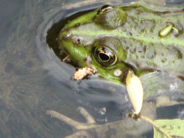 IMG_3467.jpg
