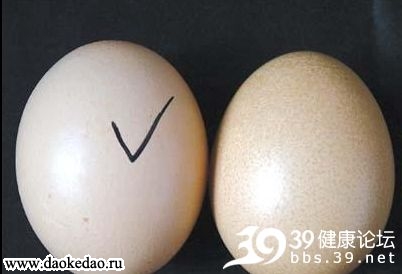 ya02.jpg