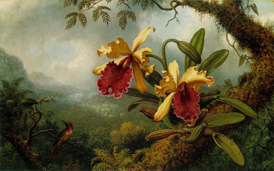  колибри Martin Johnson Heade.jpg