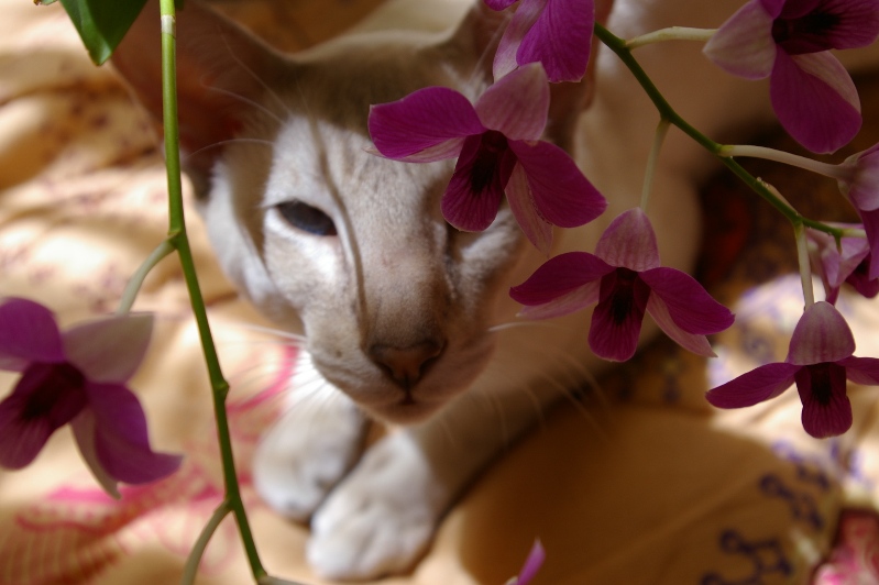 IMGP0508.JPG