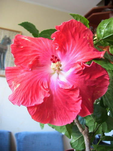 Big Tango_1 052.jpg