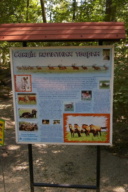 IMGP0105.JPG