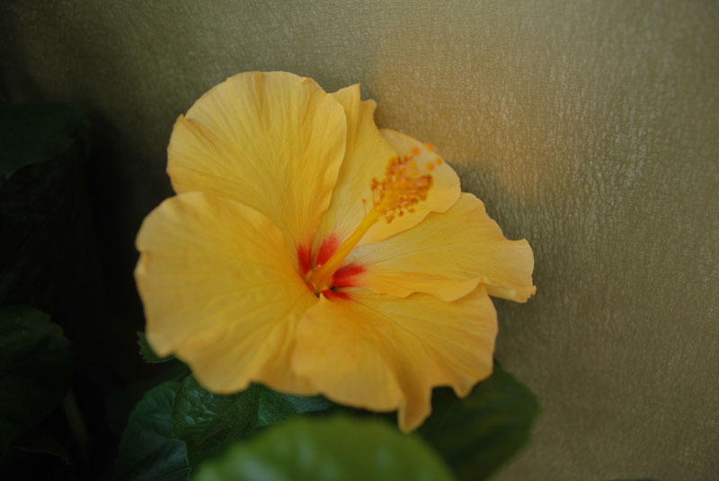 DSC_0317.jpg