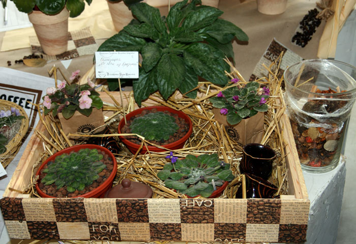 V1009014.jpg
