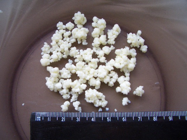 CIMG0985.JPG