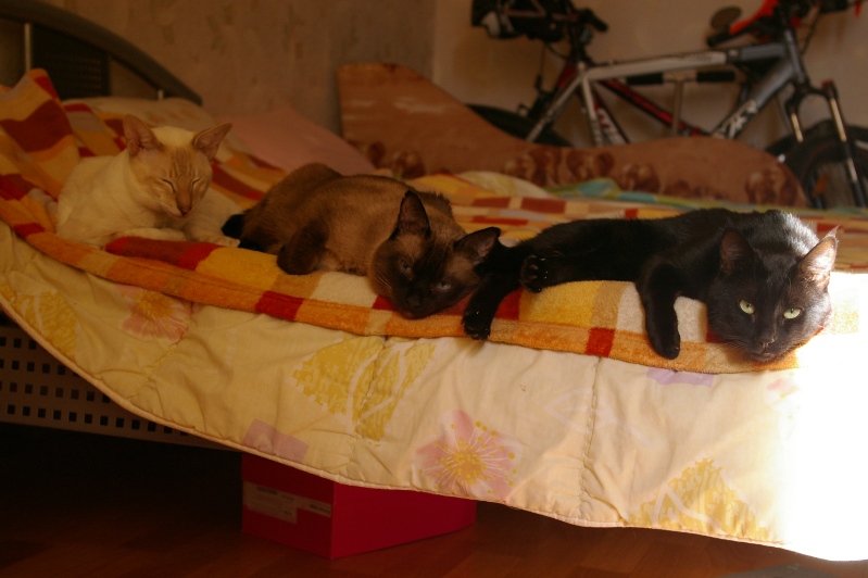IMGP0004.JPG