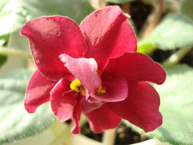 DSC02719_resize.JPG