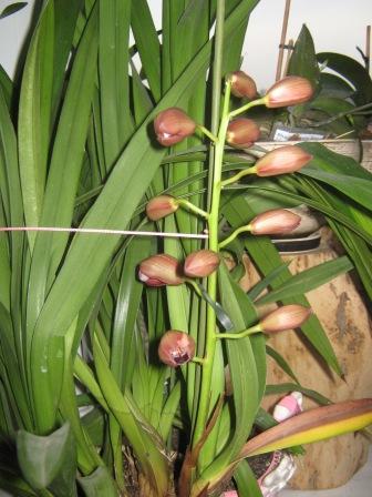 Ось такі ми були