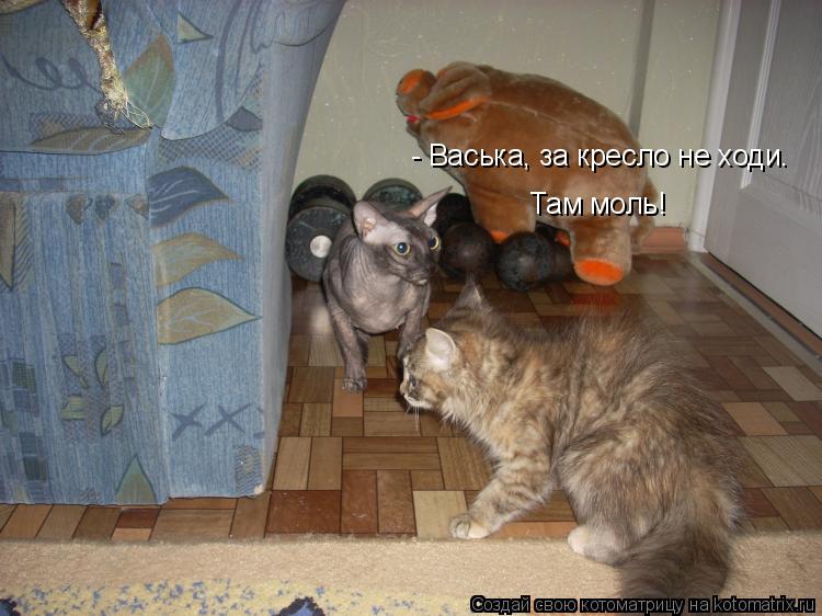 409377.jpg