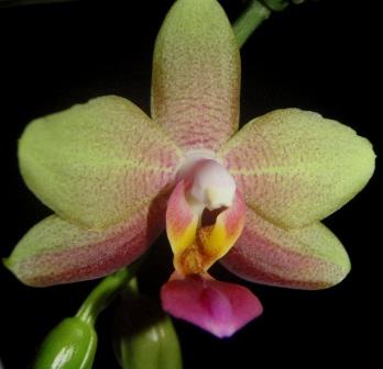 Изображение 222.jpg