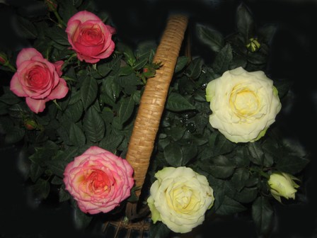 Копия IMG_4810.JPG