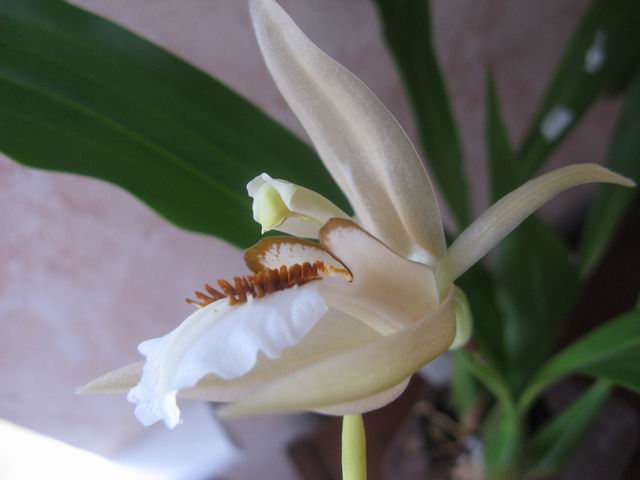 Resize of IMG_1869.JPG