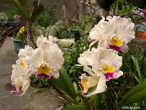 DSCN6764.JPG