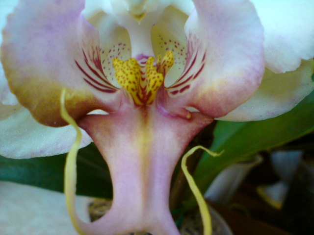 Какие они все разные