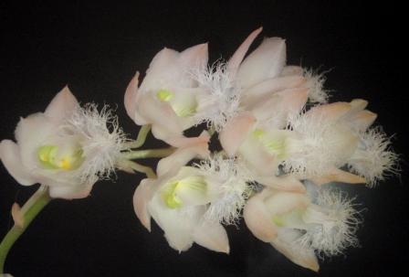 Изображение 311.jpg