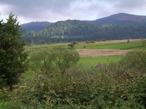 land 06.jpg