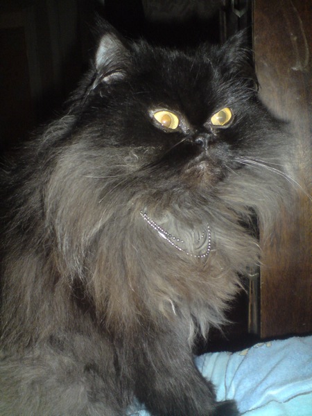 DSC04714.jpg