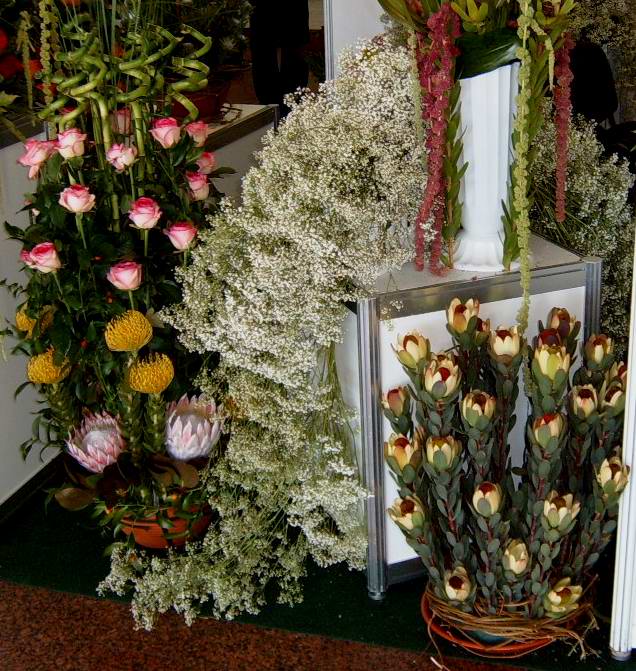 S3700215.JPG