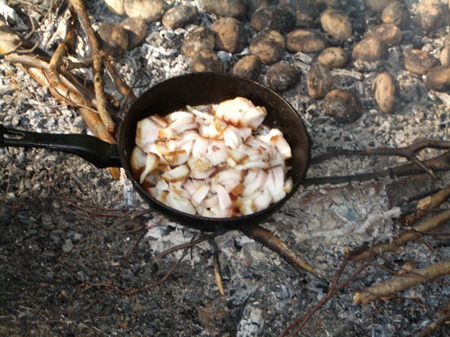 forel 10.jpg