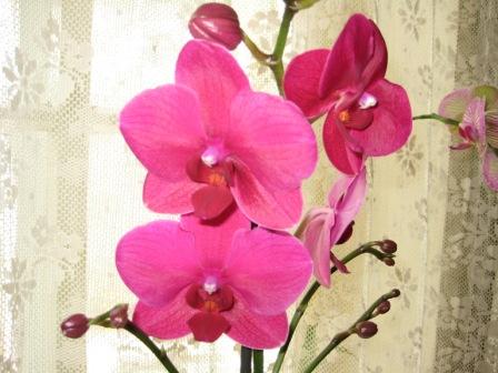 Это при дневном освещении.