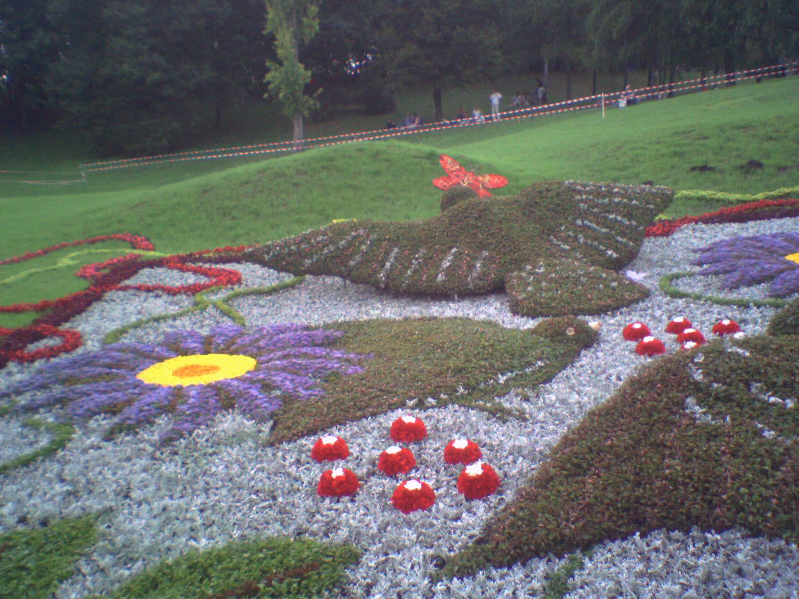 SP_A0094.jpg