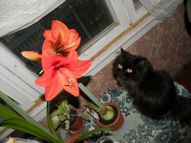DSCN3156.jpg