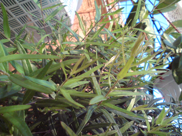 DSC01022.JPG