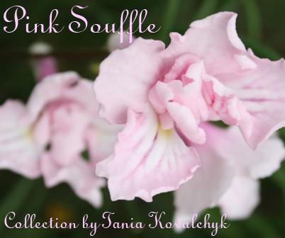 Pink Souffle 2.jpg