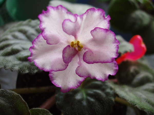 P9130007_001.jpg