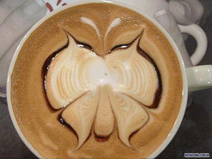 latte_b6.jpg