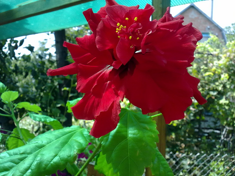30072010160.jpg